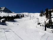 Dercum´s Gulch