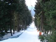 Lift line Skilift Dreisessel