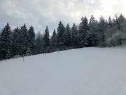Upper section of the slope at Wanklift II