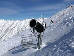 Snowbird
