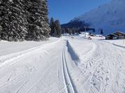 High-altitude trail on the Gerschnialp