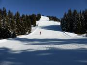 Panorama Run No. 1