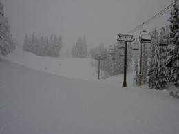 Timberline