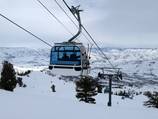 Strawberry Express Gondola
