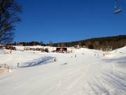 Easy slope in the Velká Úpa ski area