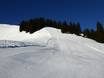 Ski resorts for advanced skiers and freeriding Alpen Plus – Advanced skiers, freeriders Spitzingsee-Tegernsee