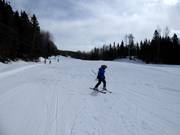 The practice slope at the valley station is ideal for children