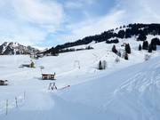 Slopes in Oberiberg