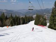 Mechi Chal slope
