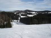 View of the ski slope of Bischofsreut