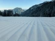 Very good slope grooming