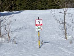 Rinderberg/Saanerslochgrat/Horneggli – Zweisimmen/Saanenmöser/Schönried/St. Stephan