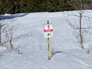 Closure of forest areas