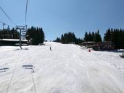 Mechi Chal slope