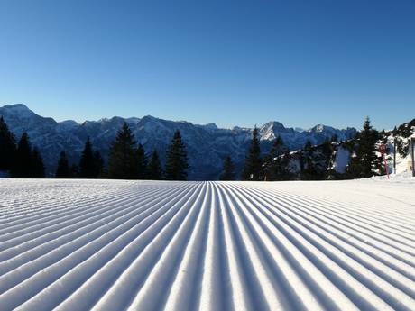 Slope preparation Gmunden – Slope preparation Kasberg – Grünau im Almtal