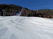 Valley run "Michl"