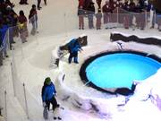 Tip for children  - Snow penguins