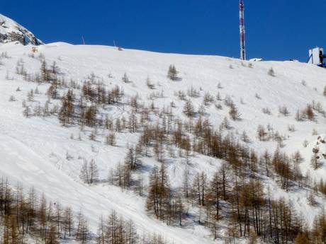 Ski resorts for advanced skiers and freeriding Maritime Alps – Advanced skiers, freeriders Auron (Saint-Etienne-de-Tinée)