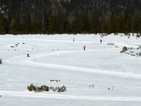 Cross-country skiing Epic Pass – Cross-country skiing Zillertal Arena – Zell am Ziller/Gerlos/Königsleiten/Hochkrimml