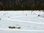 Platten cross-country trail / Hochkrimml high-altitude trail