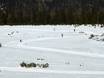 Cross-country skiing Schwaz – Cross-country skiing Zillertal Arena – Zell am Ziller/Gerlos/Königsleiten/Hochkrimml