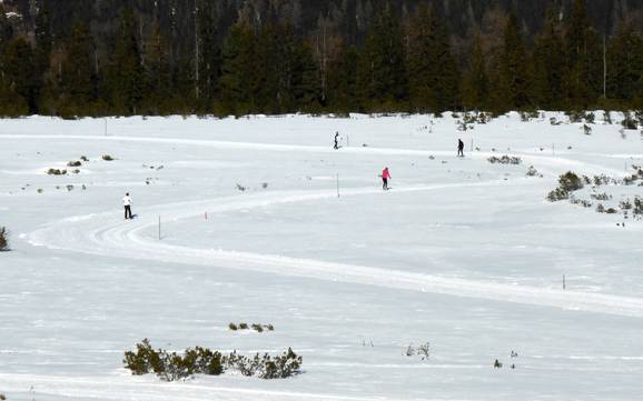 Cross-country skiing Zell-Gerlos – Cross-country skiing Zillertal Arena – Zell am Ziller/Gerlos/Königsleiten/Hochkrimml