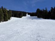 Black slope Trametsch