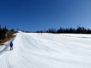 Easy slope Nedre Bøseter No. 29
