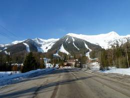 Fernie