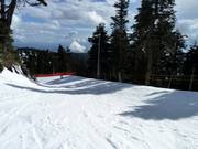 Downhill T33