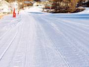 Blue slope at the Chastillon button lift