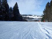 Reutele downhill run