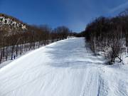 Beauvallon slope