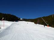 Llaret slope