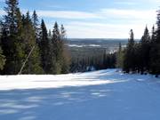Minkspåret slope