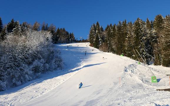 Slope offering Alpsee Grünten – Slope offering Ofterschwang/Gunzesried – Ofterschwanger Horn
