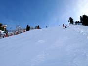 Harakiri slope