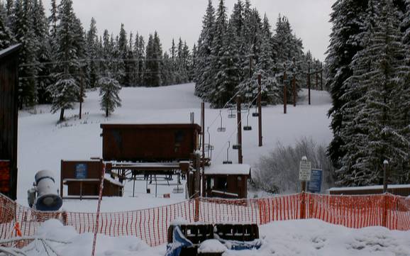 Skiing in Governemt Camp