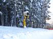 Snow reliability Dolomiti Superski – Snow reliability Alpe Cermis – Cavalese