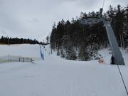 Seewald I - T-bar