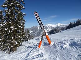 Riesneralm – Donnersbachwald