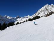 Alm descent