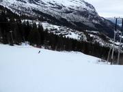 The World Cup Course