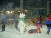 The polar bear visits the children