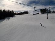 Born Free slope