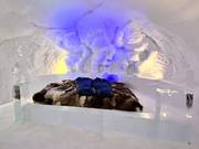 Tip Iglu Lodge