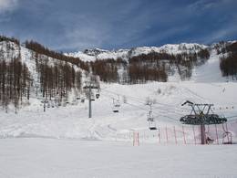 Bedemie-Seehorn