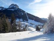 Sandlingalm slope