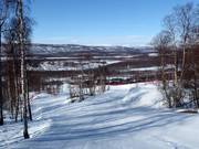 Lenny's Skicross