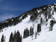 Steep terrain starting from the High Traverse